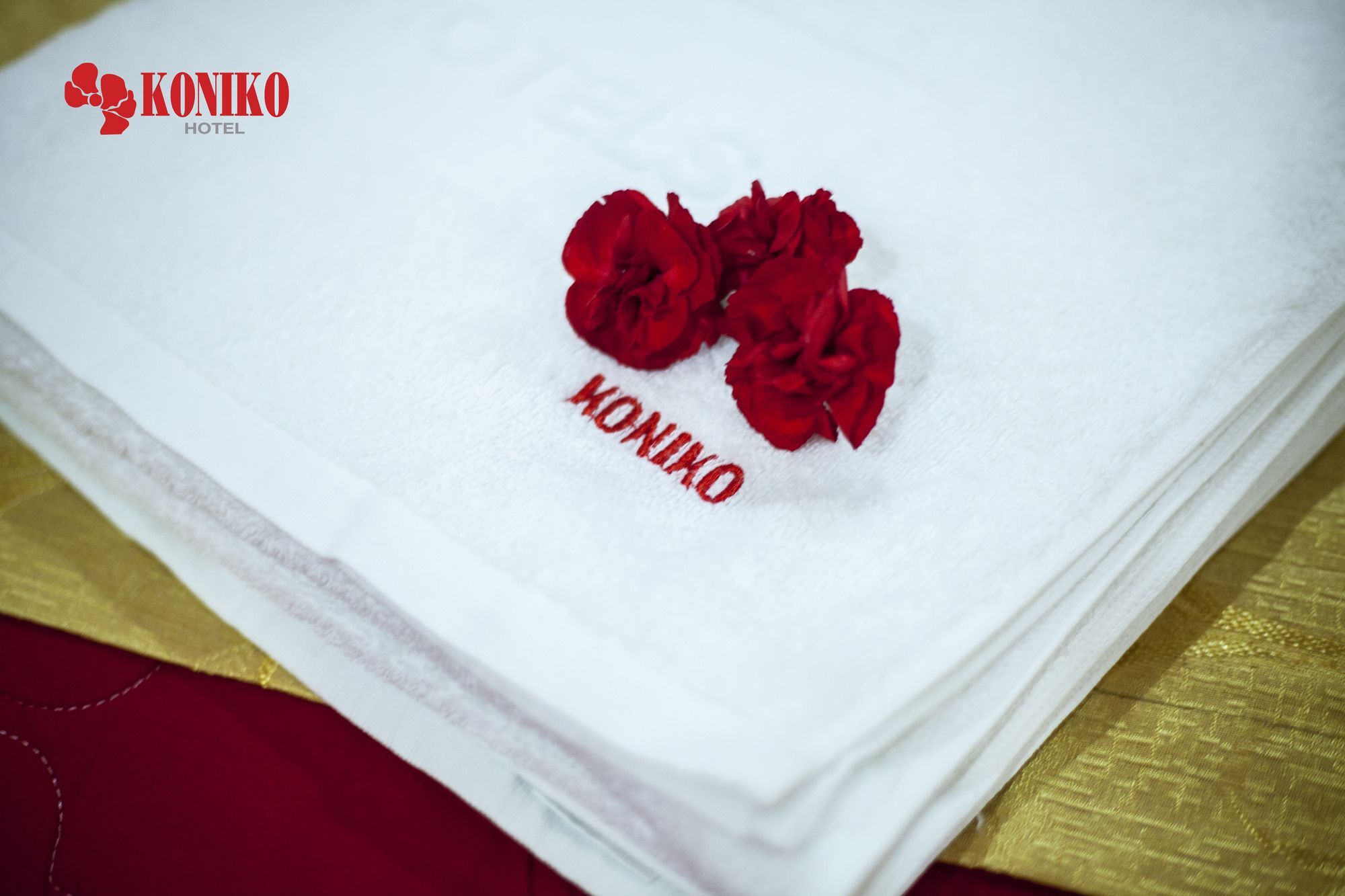Koniko Hotel Хошимин Екстериор снимка